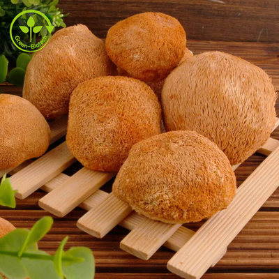 Poudre 30% de champignon de Mane Mycelium Extract Hericium Erinaceus de lions