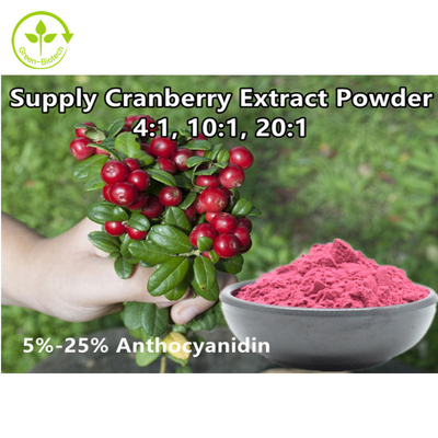 Vaccinium organique Macrocarpon d'extrait de fruit de canneberge de l'anthocyanidine 25% de poudre d'extrait de canneberge de 4:1
