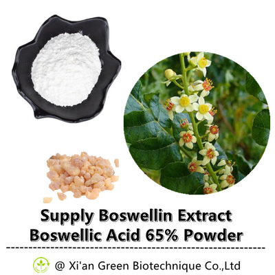 L'arbre Boswellin d'encens extraient la poudre acide de Boswellic 65%
