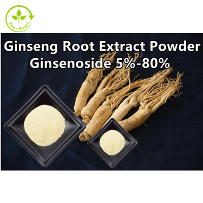 L'extrait de fines herbes de racine de ginseng saupoudrent Ginsenoside 5% - 80%