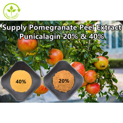 L'extrait naturel pur de grenade saupoudrent Punicalagin CAS 65995-63-3