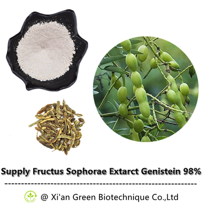 Maxime de cognassier du Japon de Nepeta de poudre d'extrait d'usine de 98% Genistein Fructus Sophorae