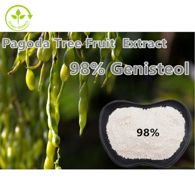 Maxime de cognassier du Japon de Nepeta de poudre d'extrait d'usine de 98% Genistein Fructus Sophorae