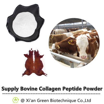 L'extrait d'usine de CLHP saupoudrent la poudre bovine hydrolysée de peptide de collagène