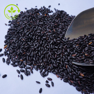 Les anthocyanines noires 100% pures en vrac d'extrait de riz saupoudrent 10 - 25%