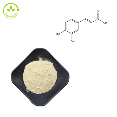 L'usine naturelle de catégorie cosmétique extrait la poudre acide cafféique 99% CAS 331-39-5