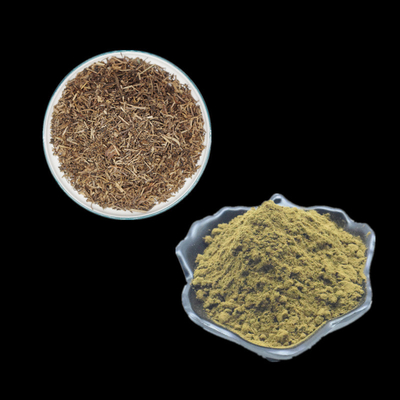 L'Ajuga que Turkestanica extraient la poudre de fines herbes de Turkesterone de poudre d'extrait complète 2% 10% 20%