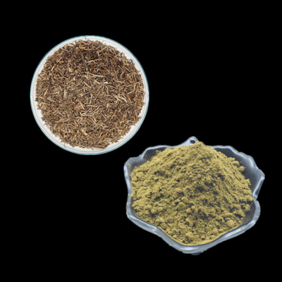 Utilisation pure de poudre de l'extrait 2% 10% Turkesterone de Turkestanica d'Ajuga pour le bodybuilding
