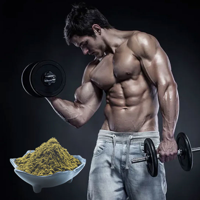 Utilisation pure de poudre de l'extrait 2% 10% Turkesterone de Turkestanica d'Ajuga pour le bodybuilding