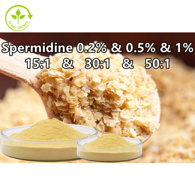 Complément alimentaire Spermidine de poudre de spermine d'extrait de germe de blé 0,1% 0,5% 1%
