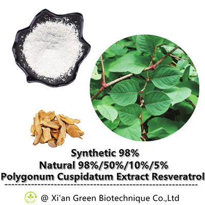Extrait de racine de Cuspidatum de Polygonum de poudre de Transport-Resveratrol de 99%