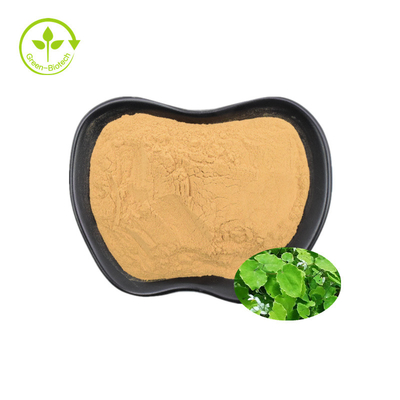 L'extrait corné Icariin de mauvaise herbe de chèvre d'Epimedium saupoudrent 10% - 98%
