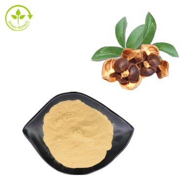 Saponine Camellia Japonica Seed Extract Powder de thé de 60% pour l'additif d'alimentation