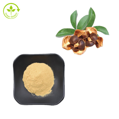 Poudre naturelle de saponine de graine de thé des extraits 80% d'usine de CAS 8047-15-2