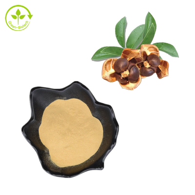 Poudre naturelle de saponine de graine de thé des extraits 80% d'usine de CAS 8047-15-2
