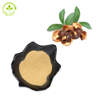 Poudre naturelle de saponines de thé de 100% Camellia Seed Extract 95%