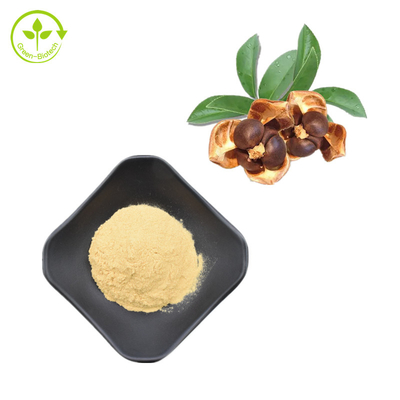 Poudre naturelle de saponines de thé de 100% Camellia Seed Extract 95%
