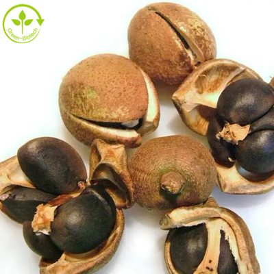 La saponine de Camellia Sinensis Seed Extract Tea saupoudrent 50% 60% 70% 80% 85% 90% 95% 98%