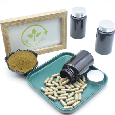Capsules pures du supplément 10% 40% 500mg Turkesterone d'extrait de Turkestanica d'Ajuga