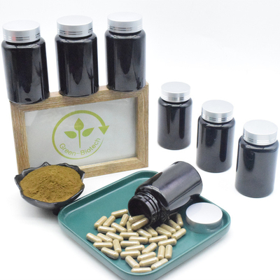L'Ajuga Turkestanica extraient des capsules de 500mg 10% Turkesterone pour le supplément de muscles