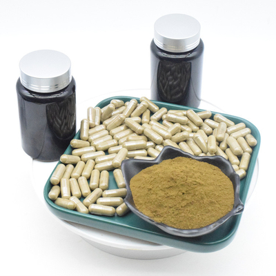 L'extrait Turkesterone de Turkestanica d'Ajuga capsule pour le bodybuilding