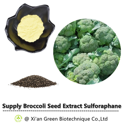 Poudre de CAS 21414-41-5 13% Glucoraphanin de glucosinolate de Sulforaphane d'extrait de graine de brocoli