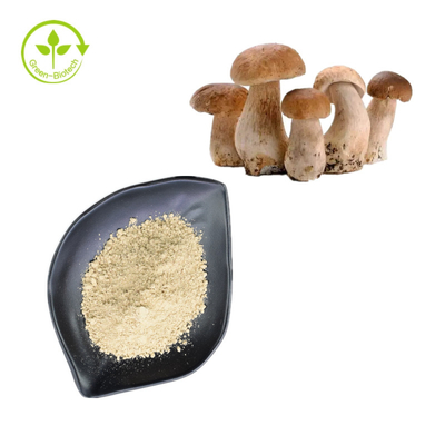 Poudre pure naturelle 99% de boletus de Penny Bun Porcini Mushroom Extract