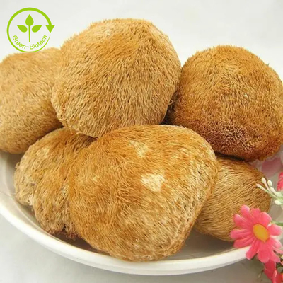 Lions organiques Mane Mushrooms Mycelium Extract Powder pour le thé/Matcha/café