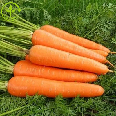 Additifs colorant le ferment Beta Carotene Powder 10%