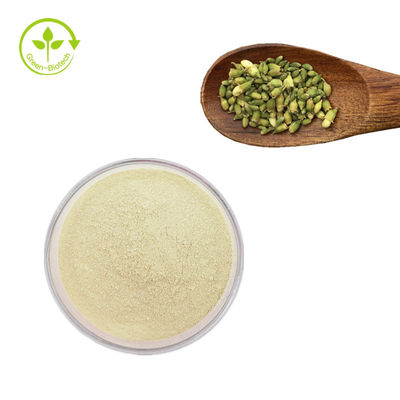 Le cognassier du Japon de sophora d'approvisionnement d'usine extrait le Sophora de la rutine 95% que le cognassier du Japon extrait la poudre de rutine