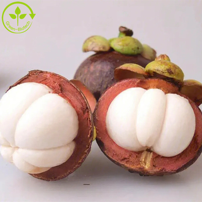 Poudre naturelle pure d'extrait du mangoustan p.e-alpha-mangostin 10%-90% Alpha Mangostin d'extrait de mangoustan