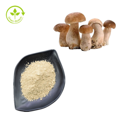Poudre edulis de polysaccharide de l'extrait 30% du Roi Bolete Extract Boletus de catégorie comestible