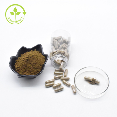 Capsule naturelle d'extrait de Turkestanica d'Ajuga de capsule de Turkesterone pour le supplément