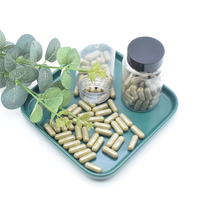 L'extrait de Turkestanica d'Ajuga d'extrait d'usine saupoudrent des capsules de 40% 500mg/60caps/Bottle Turkesterone