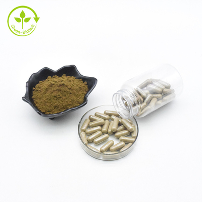 Les suppléments Turkesterone de musculation complètent des capsules de Turkesterone de l'Ajuga 500mg