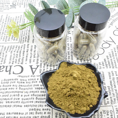 Achat Turkesterone de la poudre 2% d'extrait de Turkestanica d'Ajuga