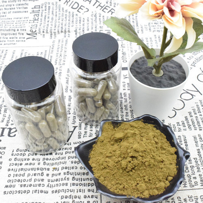 L'extrait de Turkestanica d'Ajuga saupoudrent l'extrait de 2% 10% Turkesterone