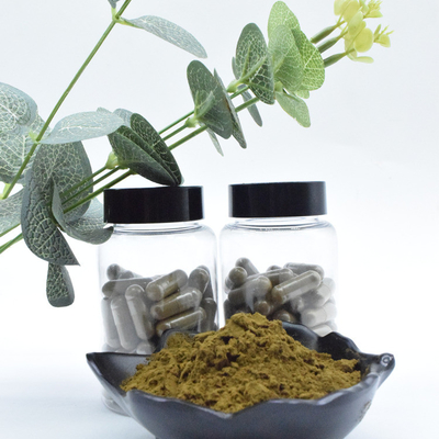 L'extrait 100% pur en vrac en gros de Turkestanica d'Ajuga de 2% 10% saupoudrent la poudre de Turkesterone