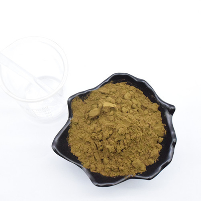 Dans la poudre courante de pilules de 800mg 1000mg 500mg Turkesterone avec Turkesterone Beta Cyclodextrin For Muscle hydroxypropylique