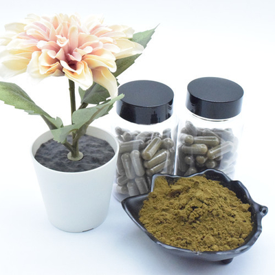 L'extrait de Turkestanica d'Ajuga d'extrait d'usine saupoudrent des capsules de 40% 500mg/60caps/Bottle Turkesterone