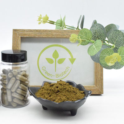 Extrait naturel de Turkestanica d'Ajuga de la poudre 2% 10% 40% de 100% Turkesterone