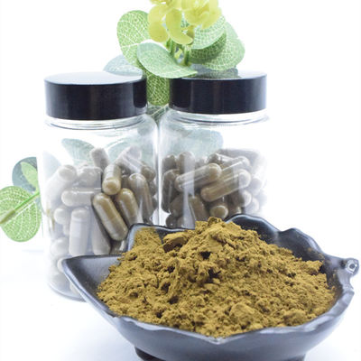 Extrait naturel de Turkestanica d'Ajuga de la poudre 2% 10% 40% de 100% Turkesterone