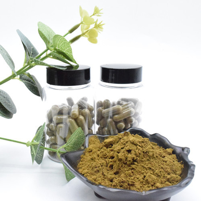 L'Ajuga de bonne qualité Turkesterone saupoudrent 10 que Turkesterone extraient l'extrait d'usine de Turkesterone