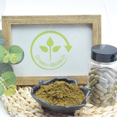L'Ajuga de bonne qualité Turkesterone saupoudrent 10 que Turkesterone extraient l'extrait d'usine de Turkesterone