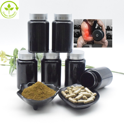 Poudre en vrac en gros de Turkesterone d'extrait de l'extrait 2% 10% CAS 41451-87-0 Turkesterone de Turkestanica d'Ajuga