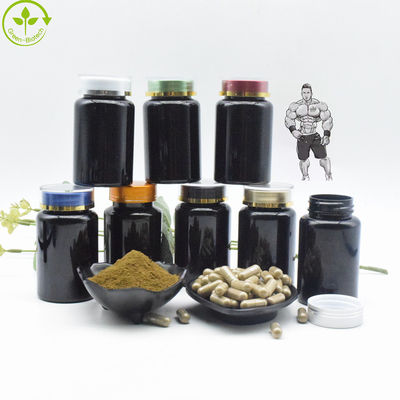 L'extrait organique naturel de Turkestanica d'Ajuga saupoudrent des capsules de 10% Turkesterone