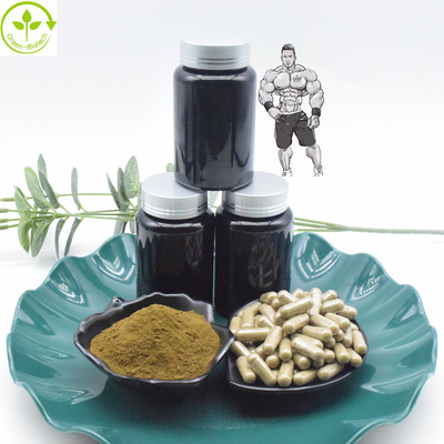 Capsules pures de la poudre 800mg 1000mg Turkesterone d'extrait de 10% 40% Turkesterone