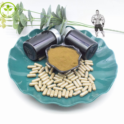Capsules pures de la poudre 800mg 1000mg Turkesterone d'extrait de 10% 40% Turkesterone