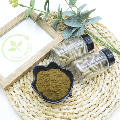 L'Ajuga Turkestanica de complément alimentaire extraient la poudre de 10% 20% Turkesterone