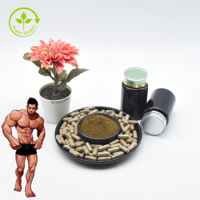 L'Ajuga de bonne qualité Turkesterone saupoudrent l'extrait Turkesterone de 10 Turkesterone